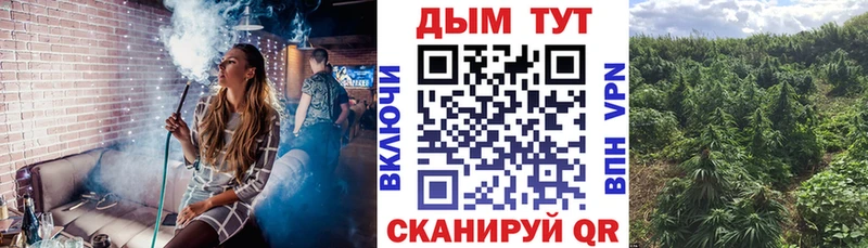 Конопля AK-47  Пугачёв 